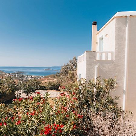 Villa Il Paradiso Andros Gavrio Eksteriør bilde